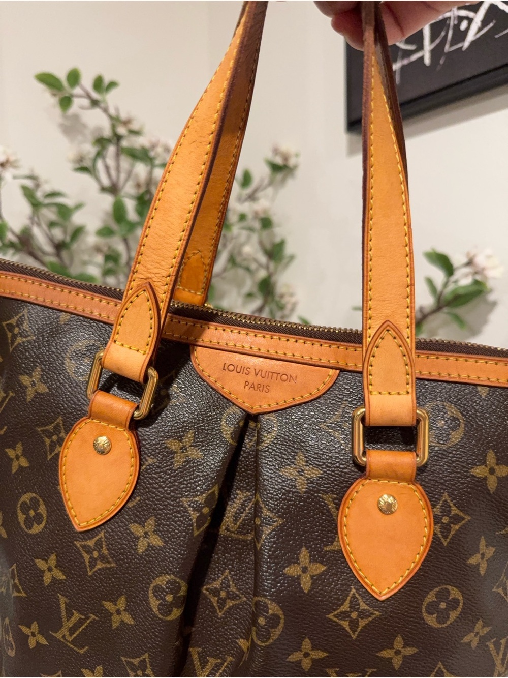 LV Palermo Pm - Picture 3 of 13